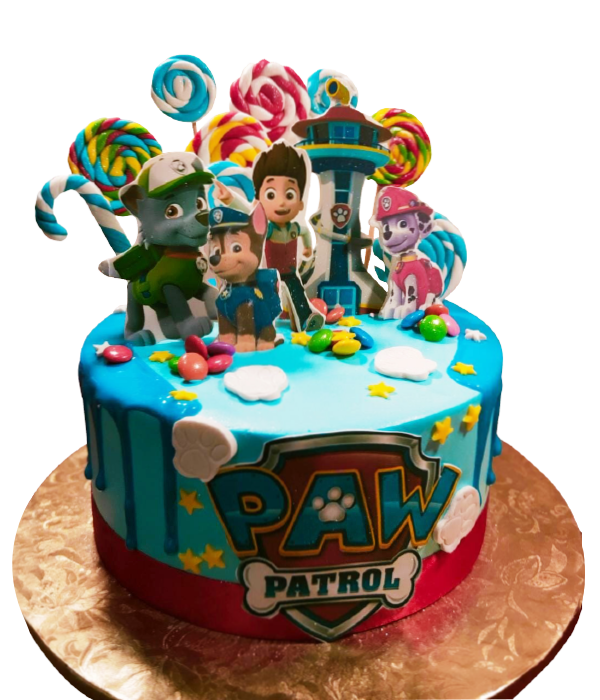 Paw Patrol Cake – 3